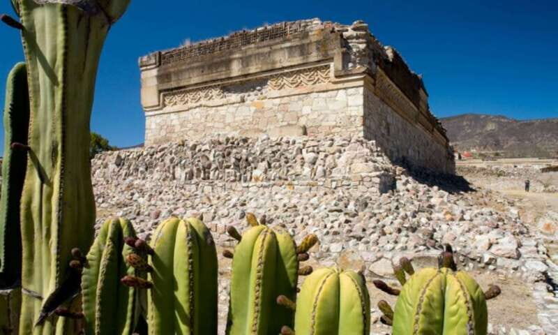 From Oaxaca: City, Mitla, and Mezcal Factory Tour - Who should book this tour (and who should skip it)