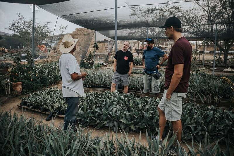 From Oaxaca : Crafts & Cuisine All Included Guided Tour - Black pottery families: where process beats just pretty surfaces