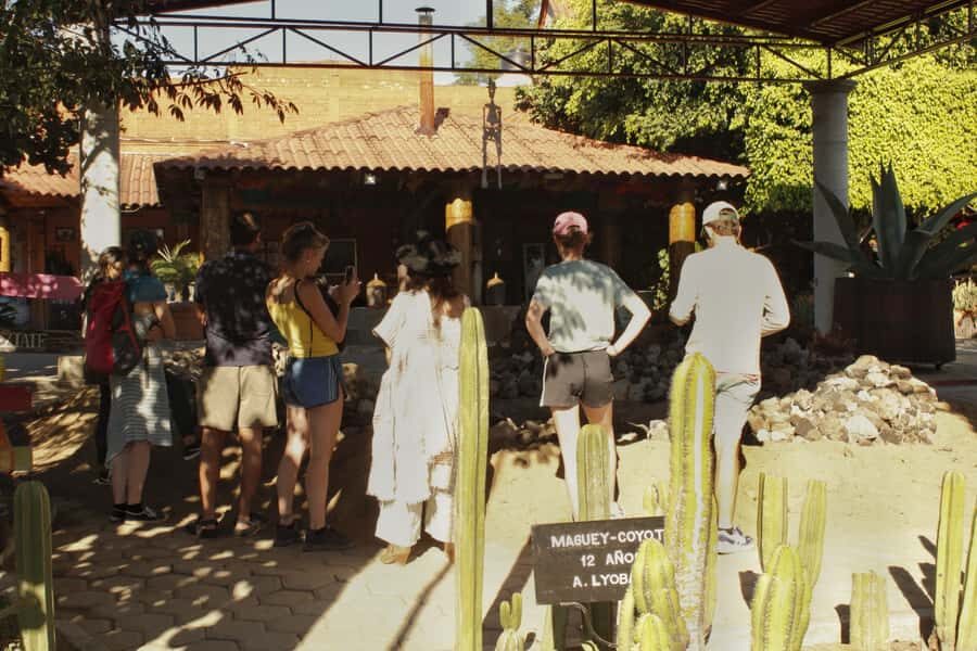 From Oaxaca de Juarez: Hierve el Agua and Mezcal Distillery - From Oaxaca de Juárez to Hierve el Agua: the drive and the first big views