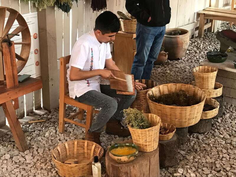 From Oaxaca: Hierve el Agua and Teotitlán del Valle - The 8-hour schedule: what to expect from the pacing