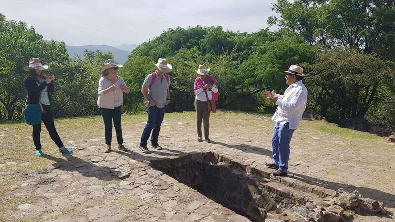 From Oaxaca: Monte Alban, Alebrijes & Black Clay Day Trip - Who this tour fits best (and who should think twice)