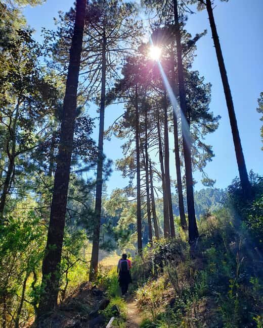 From Oaxaca: Sierra Norte Hike & Indigenous Village Full-Day - Guides, Language, and the Small-Group Advantage