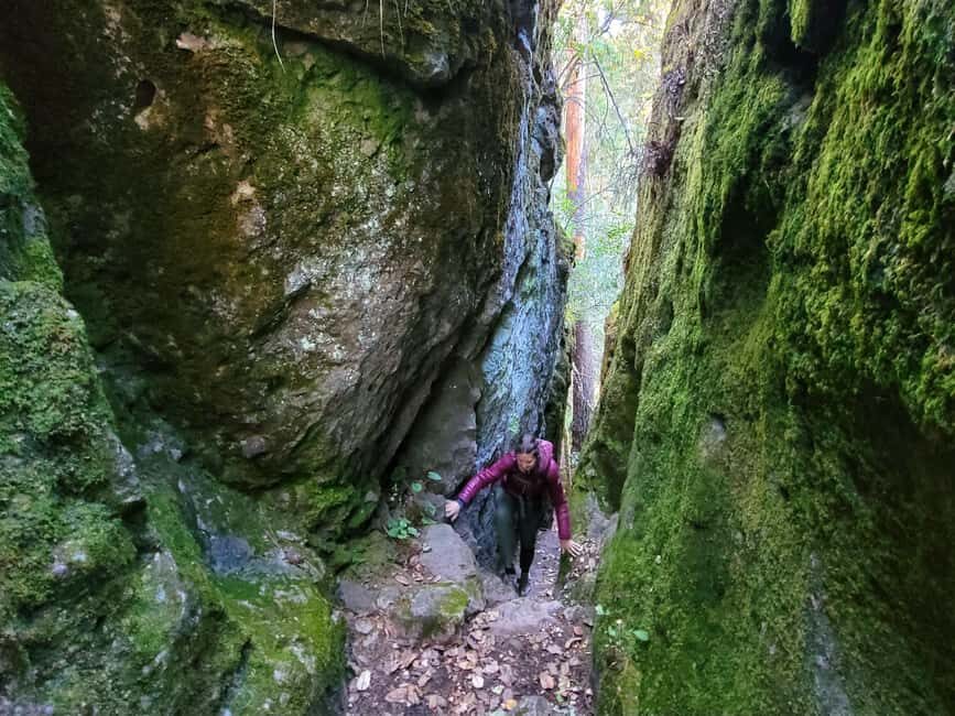 From Oaxaca: Sierra Norte Hike & Indigenous Village Full-Day - Transportation and Comfort: AC Van and a Real Stop Rhythm