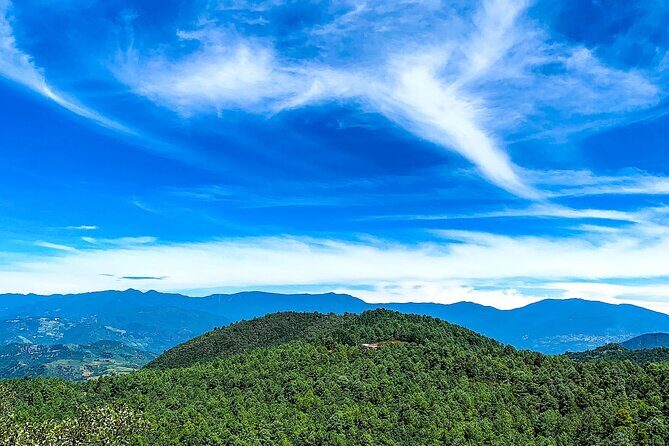 Full Day Bromeliad Forest Tour from Oaxaca - Price and value: what $160 buys you in practice