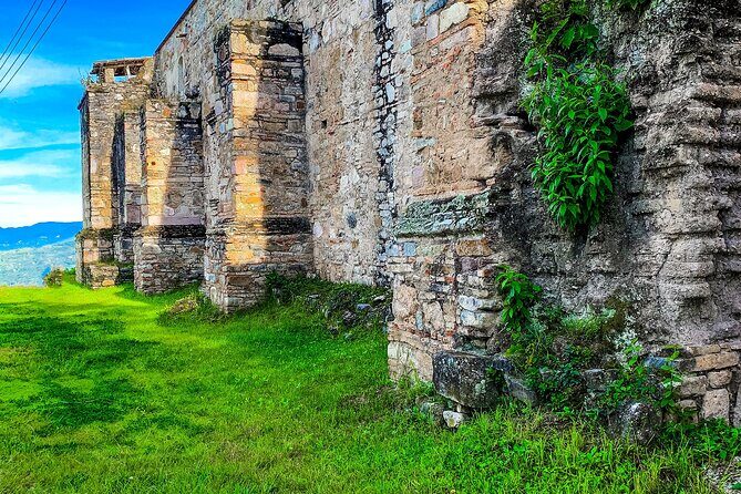 Full Day Bromeliad Forest Tour from Oaxaca - Stop 3: San Pablo Guelatao—visiting Juárez’s birthplace and home