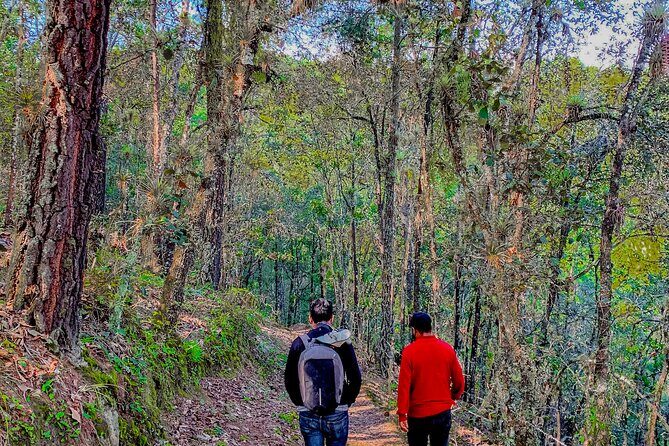 Full Day Bromeliad Forest Tour from Oaxaca - What to bring (and what to pay for) so nothing spoils your day