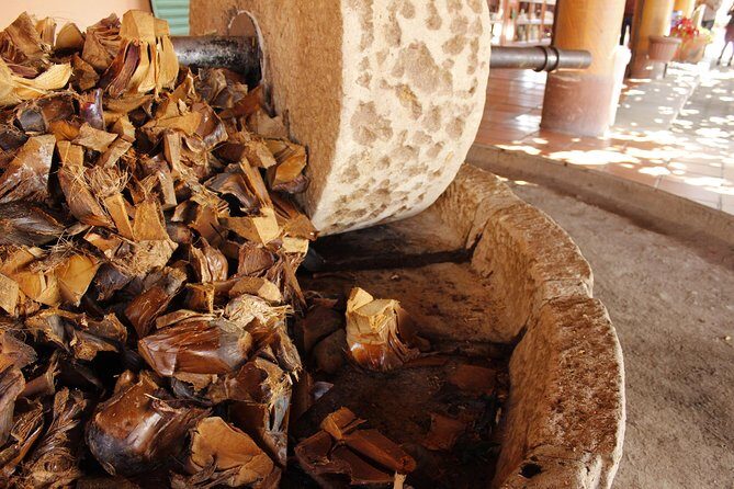 full day tour : Boil the water, Teotitlan, Mezcal, tule and Mitla - Mezcal distillery stop: seeing the process and tasting creams