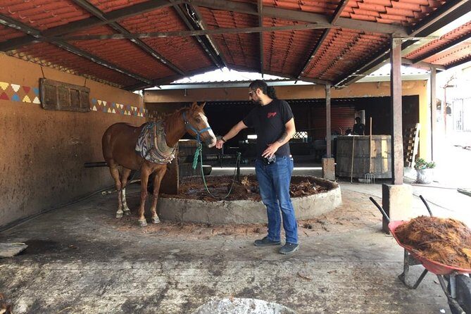 Gastronomy Experience, Culture Mezcal,Tasting & Textiles. Private Tour. - Santiago Matatlán: a chef’s 4-course lunch built on Oaxaca and beyond