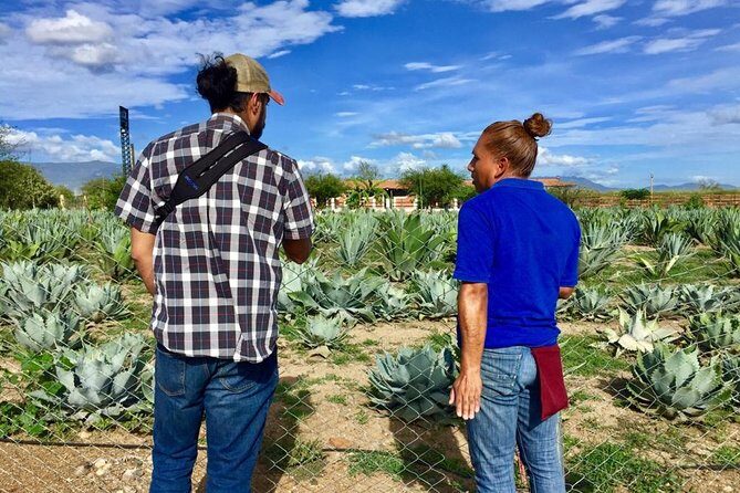 Gastronomy Experience, Culture Mezcal,Tasting & Textiles. Private Tour. - How the mezcal tasting and food pairing should feel