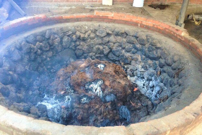 Gastronomy Experience, Culture Mezcal,Tasting & Textiles. Private Tour. - Price and logistics: what $699 buys you (and why it can be worth it)