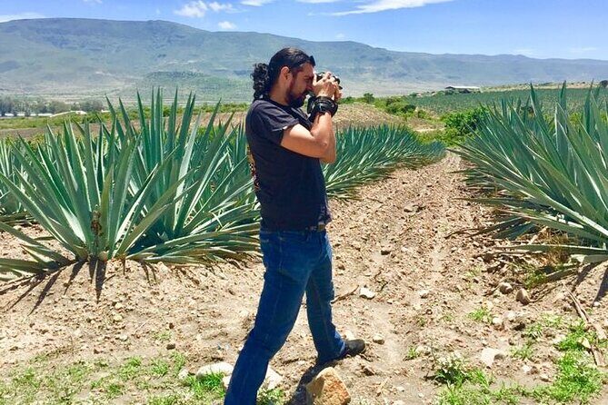 Gastronomy Experience, Culture Mezcal,Tasting & Textiles. Private Tour. - Private tour value: pickup, real timing, and no crowd squeeze