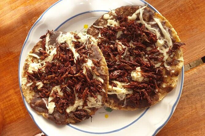 Half-Day Gastronomic Walking Tour in Oaxaca - Stop 1: Mercado Sánchez Pascuas and the real shape of a local market