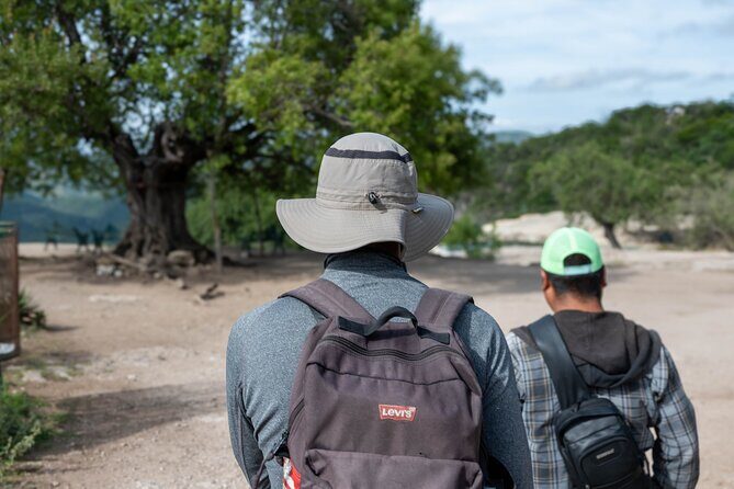Hierve el Agua Half-Day: Early Access & Personal Guide + Pickup - What to expect from the full 6-hour rhythm