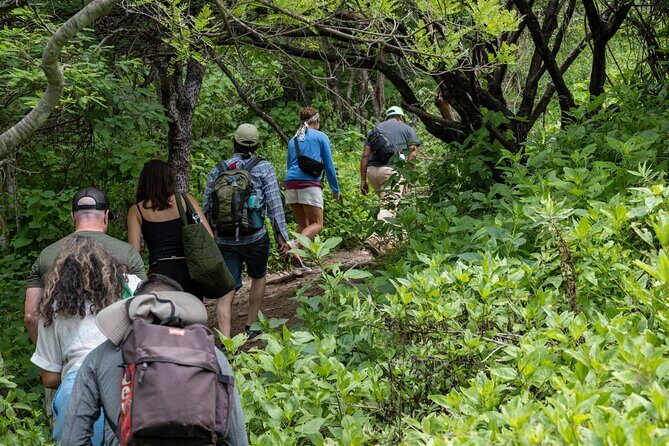 Hierve el Agua Half-Day: Early Access & Personal Guide + Pickup - Pickup in Oaxaca City: easy if you’re near the center, simple if you’re not