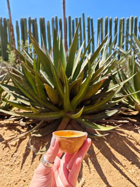 Hierve el Agua, Mitla, Tule, Teotilán and Mezcal factory - FAQ