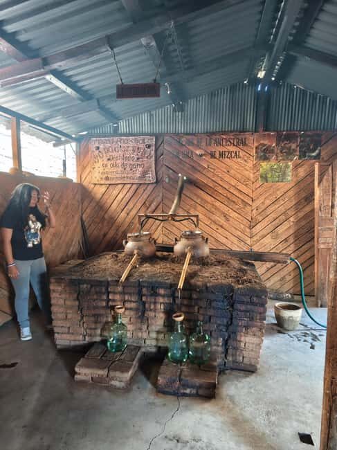 Hierve el Agua, Mitla, Tule, Teotilán and Mezcal factory - Should You Book This Tour?