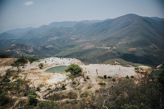 Hierve el Agua & More... All Included Guided Day Tour from Oaxaca - Santa María del Tule: the old cypress that makes nearby buildings look small