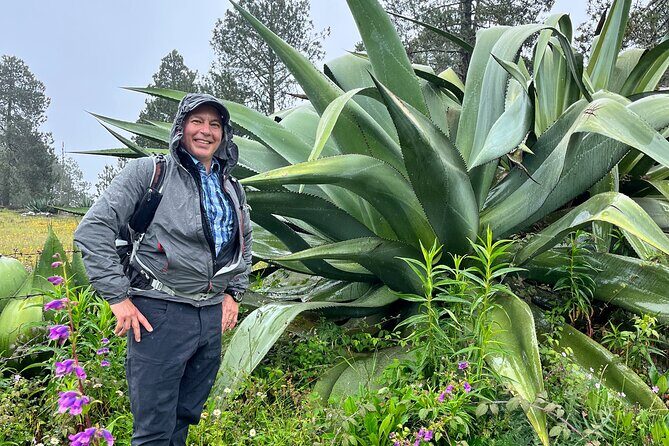 Hike in the Sierra Norte, Cuajimoloyas - Sierra Norte trails that feel tied to real people