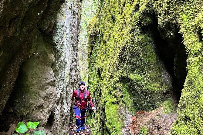 Hike in the Sierra Norte, Cuajimoloyas - A hike with plant lessons: edible finds and medicinal uses