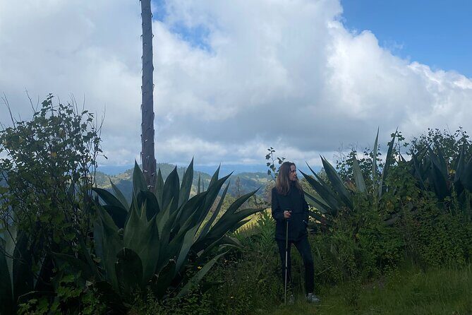 Hike in the Sierra Norte, Cuajimoloyas - Starting in Oaxaca City: meeting at C. Macedonio Alcalá