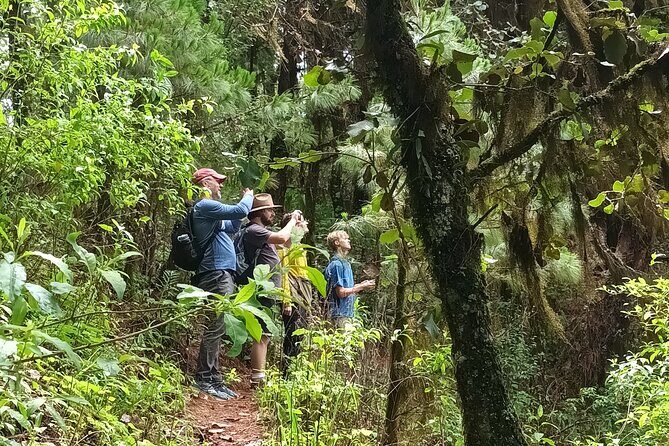 Hiking in Sierra Norte the most spectacular trails in Oaxaca - The Small-Group Advantage: Private Ride, Max 4, and a More Personal Day