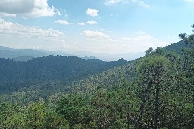 Hiking in Sierra Norte the most spectacular trails in Oaxaca - Value for $53.73: What You Get, What You’ll Still Pay For
