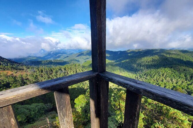Hiking in the Enchanted Forest of Ixtepeji with Rescue Dogs - Ixtepeji Enchanted Forest Hike: Big Views, Rescue Dogs, and Real Oaxaca Feel