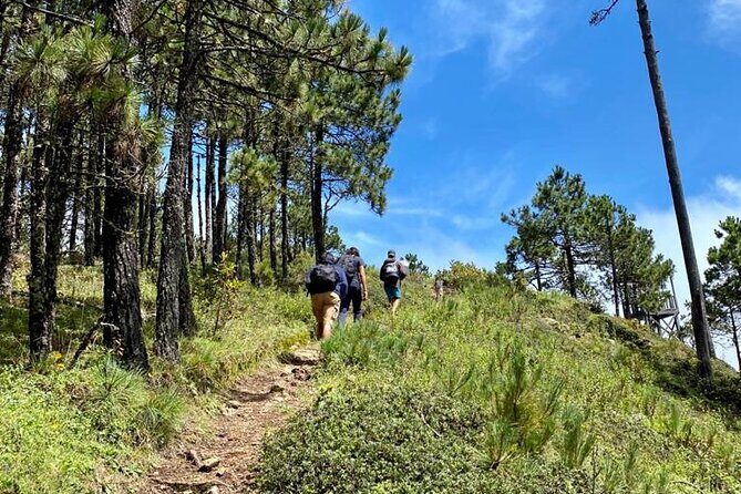 Hiking in the Enchanted Forest of Ixtepeji with Rescue Dogs - Where to Meet in Oaxaca City (And How to Think About the Start)