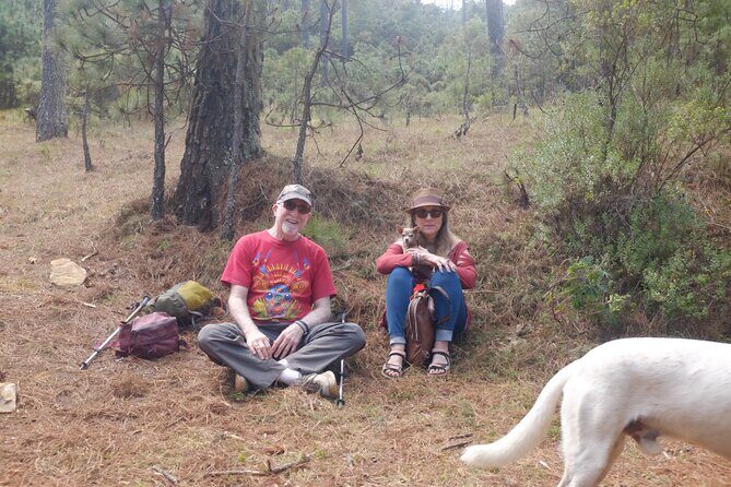Hiking in the Enchanted Forest of Ixtepeji with Rescue Dogs - Price and Value: What $171.42 Is Buying You