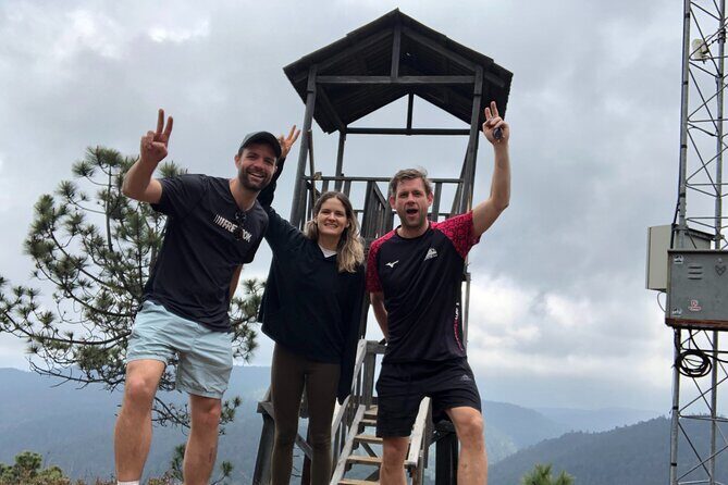 Hiking in the Enchanted Forest of Ixtepeji with Rescue Dogs - Ixtepeji Itinerary: A Full 9-Hour Mountain Day in One Big Stop