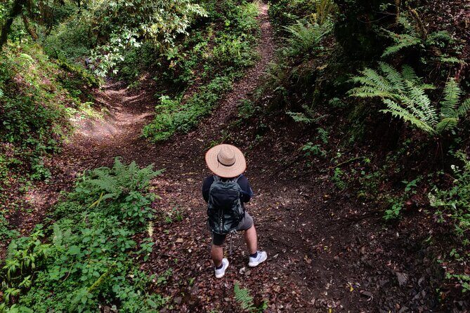 Hiking in the Sierra Norte of Oaxaca - Sierra Norte Hiking: What You’re Really Signing Up For