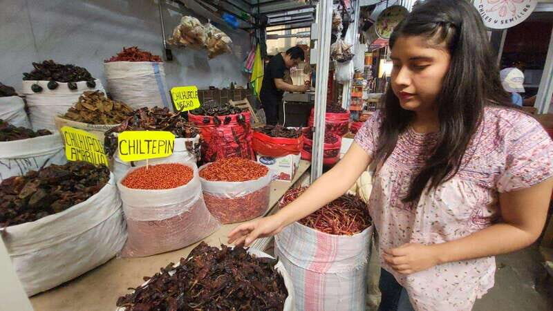 Mexico: Salsa Making Class in a Market with a Chef - Tasting and pairing: how to learn what you like