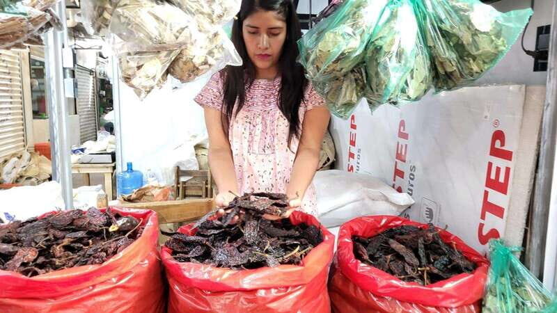 Mexico: Salsa Making Class in a Market with a Chef - Who this class suits best (and who should skip it)