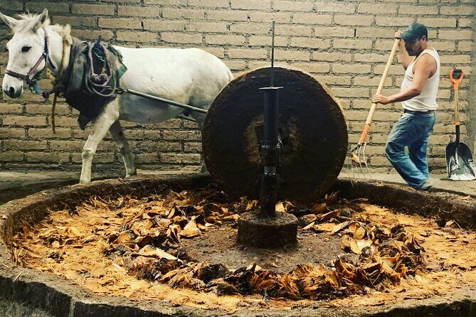 Mezcal Day Experience - The guide factor: why Lupita keeps coming up