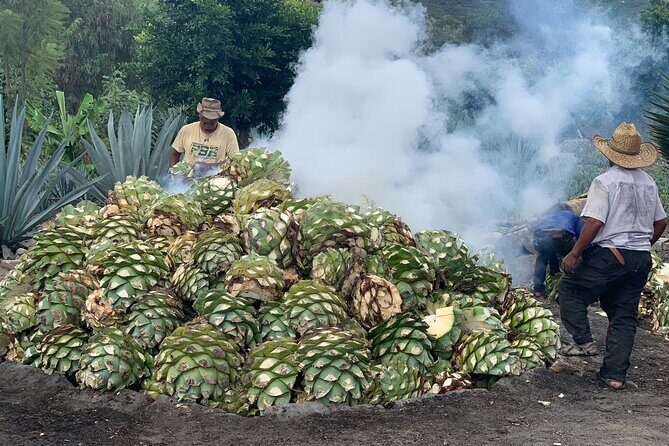 Mezcal Day Experience - Packing and pacing tips so the day stays fun