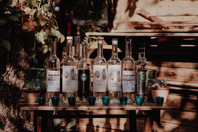 Mezcal & Mole by a Certified Sommelier - The Core Experience: Seven Vegetarian Moles, Seven Mezcals