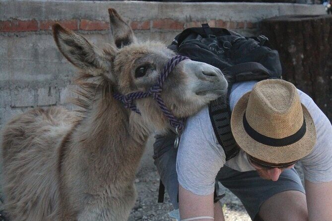 Mezcal Tour Oaxaca - Quick tips to make your day smoother