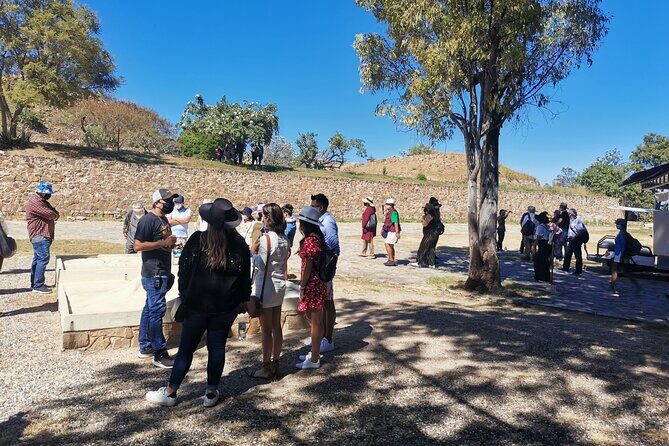 Monte Alban - Full Day Guided Tour with or without Food - Oaxaca - A morning start that actually helps at Monte Albán