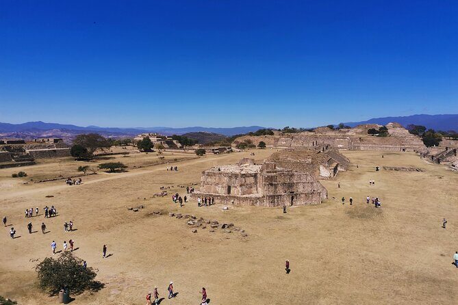 Monte Alban - Full Day Guided Tour with or without Food - Oaxaca - Stop 5: San Martín Tilcajete alebrijes—wood figures, carving, and design choices