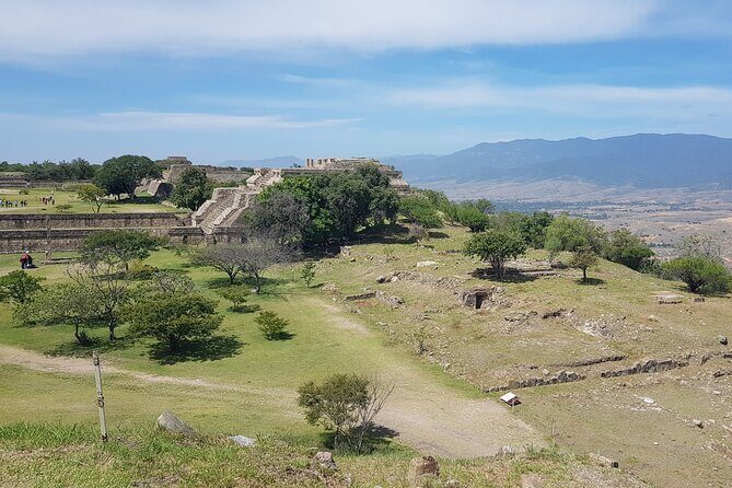 Monte Albán Half Day Tour - How to decide if this half-day works for you