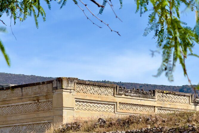 Monte Alban, Mezcal, Tule Tree and Wool Mats Tour - Mezcal Don Agave: Learn the Process, Then Taste With Confidence