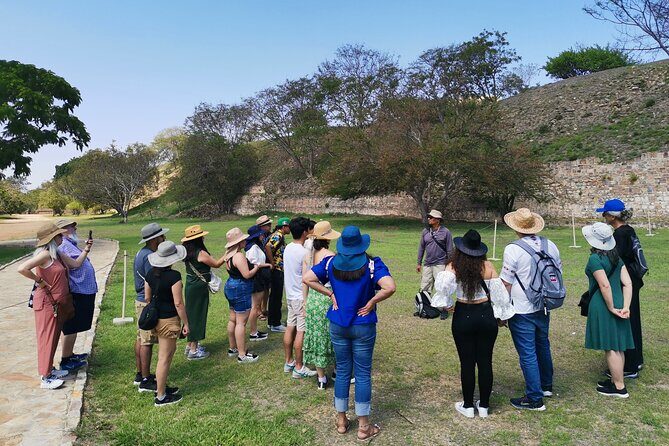 Monte Alban Only - Half Day Guided Tour - Oaxaca - Half-Day Monte Albán: What You Really Get in 3–4 Hours