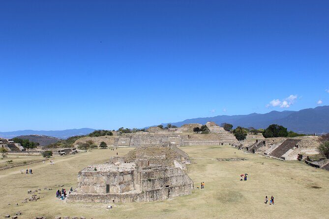 Monte Alban Only - Half Day Guided Tour - Oaxaca - Price and Value: What the $35.91 Covers (and What It Doesn’t)