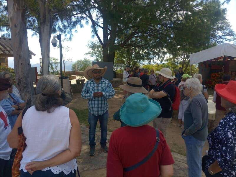 Monte Alban Walking Tour - Who this tour is best for (and who should skip it)