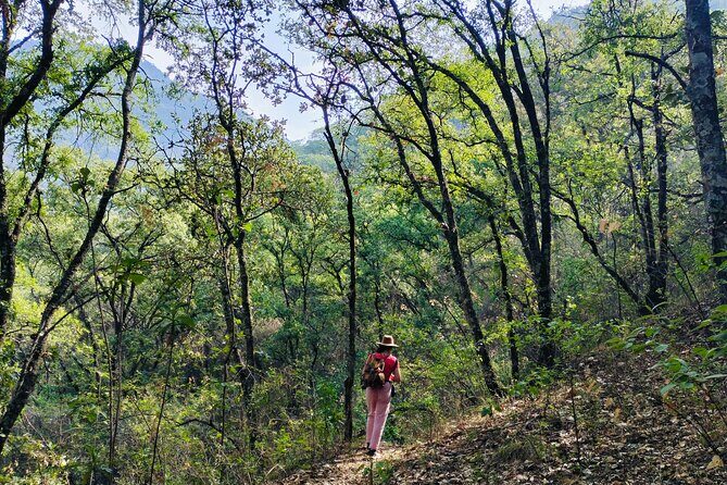 Mountain Hike & Rituals - Key highlights you’ll care about