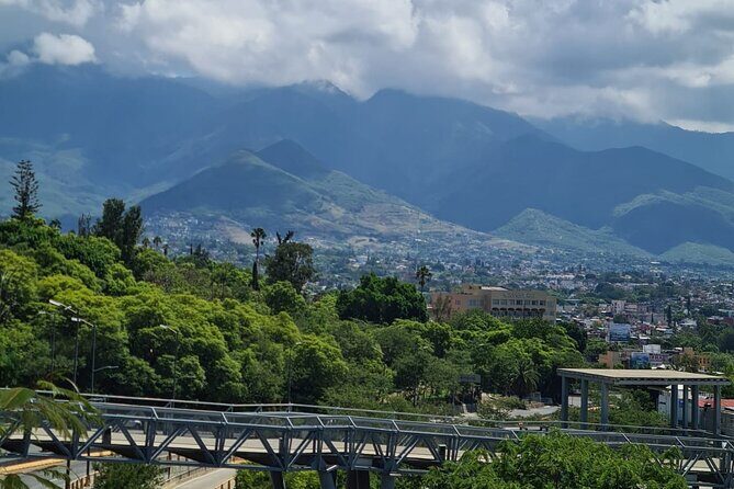 MTB Bike Tour: Enduro on Fortress Hill (Black Diamond) - Riding into nature: the El Fortín entrance and the climb mindset