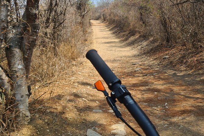 MTB Bike Tour: Local Trails in Monte Albán and Atzompa - The descent back toward Oaxaca: terraced trails and real speed