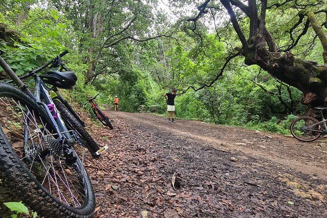 MTB Bike Tour: Monkey Tree + Tule Tree - Key highlights you’ll actually use