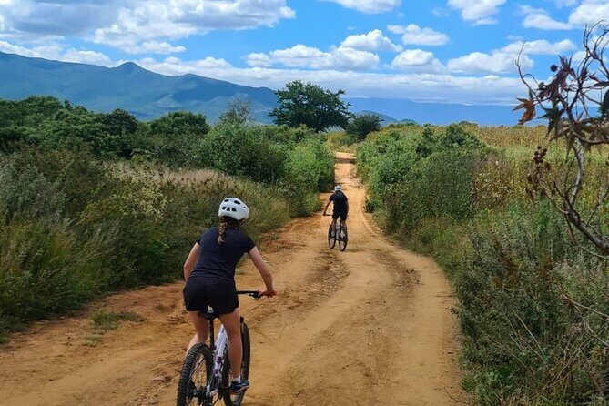 MTB Bike Tour: Monkey Tree + Tule Tree - From Oaxaca City to the Mountains: what the first hour feels like