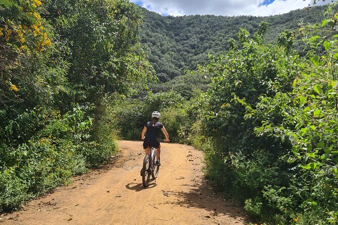 MTB Bike Tour: Monkey Tree + Tule Tree - How hard is it really? (40 km, 80% mountain, intermediate)